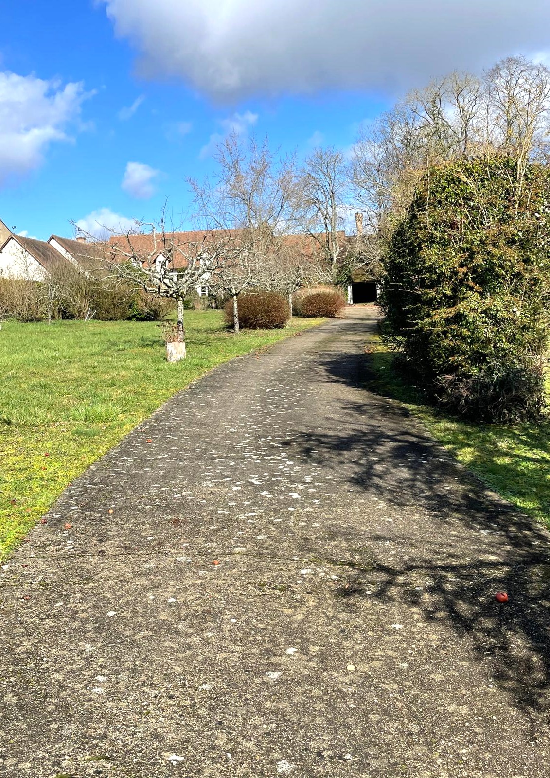 Belle propriété de Famille offrant 400m² habitables avec dépendances et garage sur 1ha2 de parc arboré