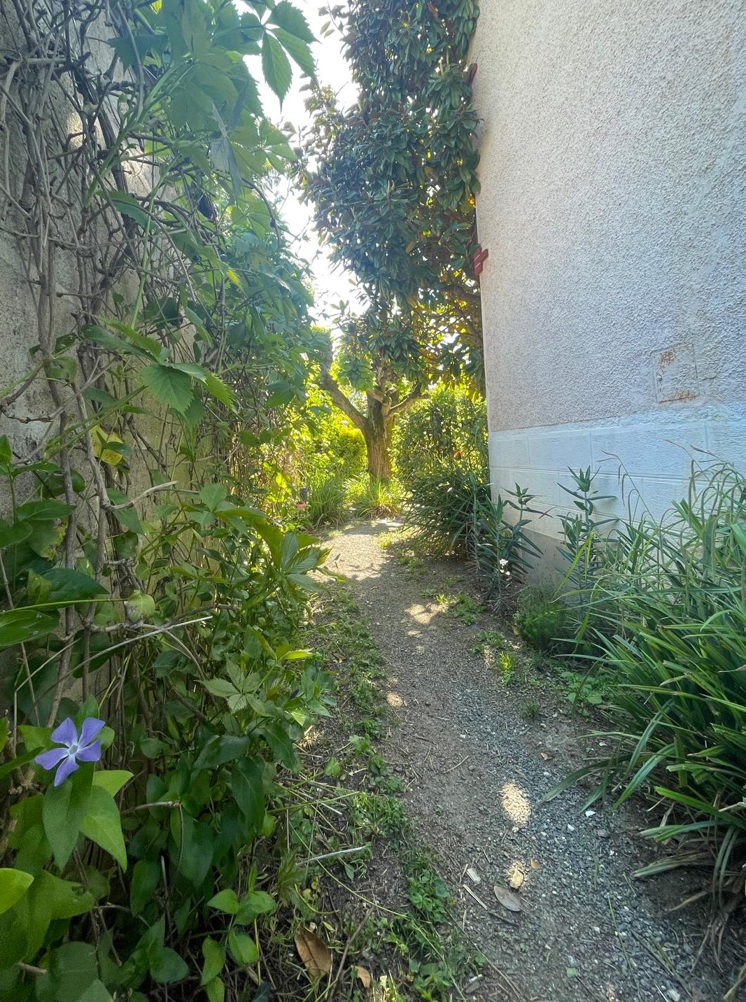 Maison style 1930&rsquo;s offrant 76m² avec jardin