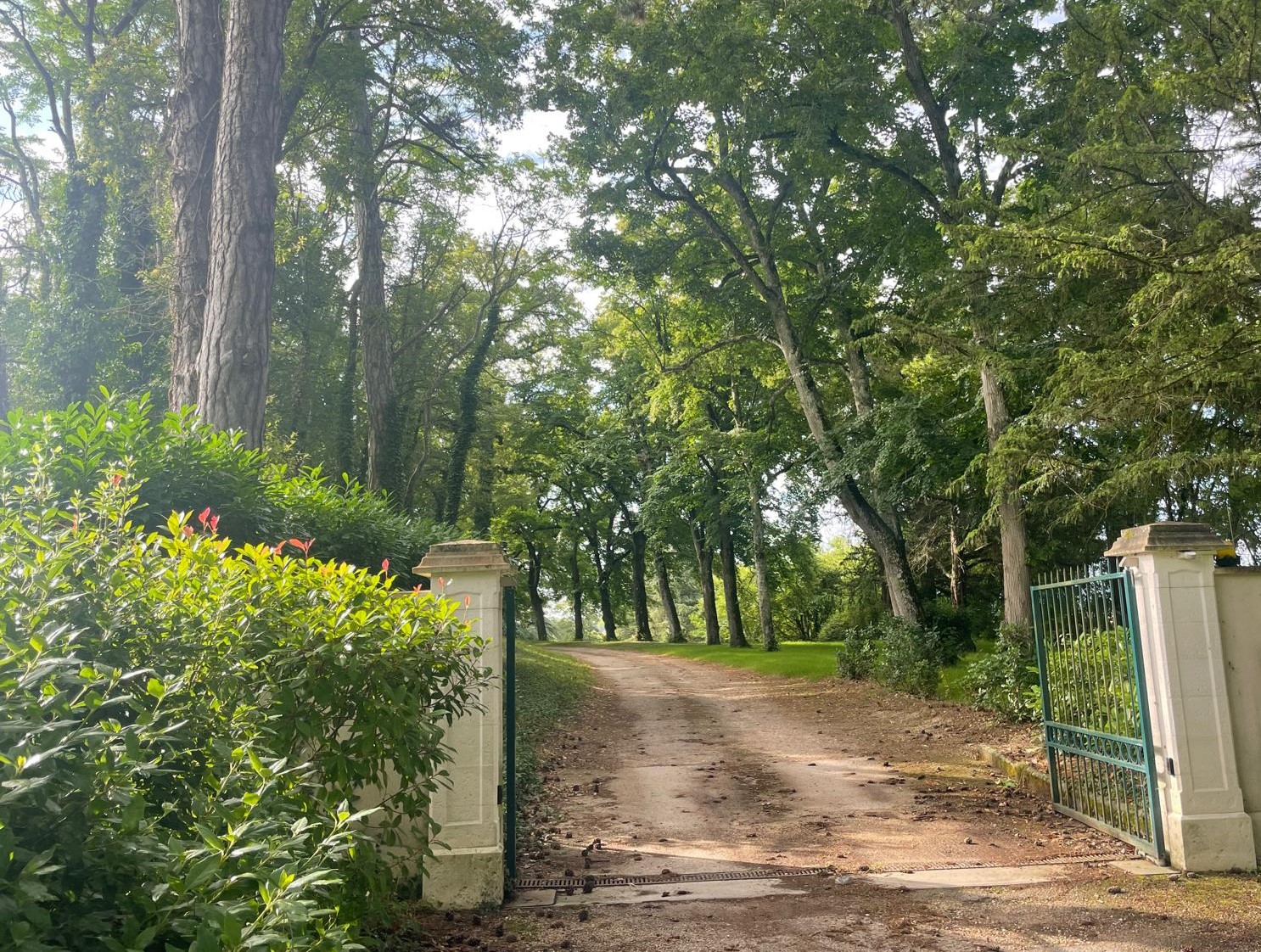 Magnifique demeure du XIXe siècle avec dépendances dans son parc de 13ha située à 12 kms de BOURGES
