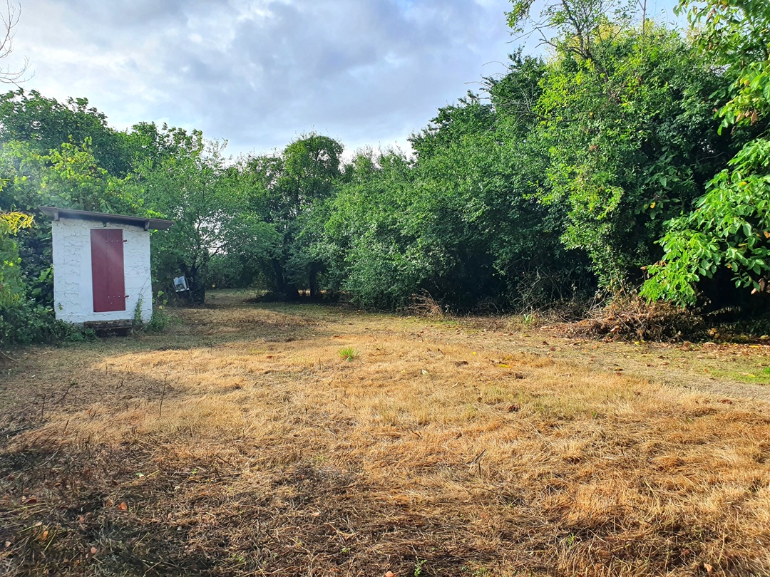 Maison de village avec beau jardin et dépendances