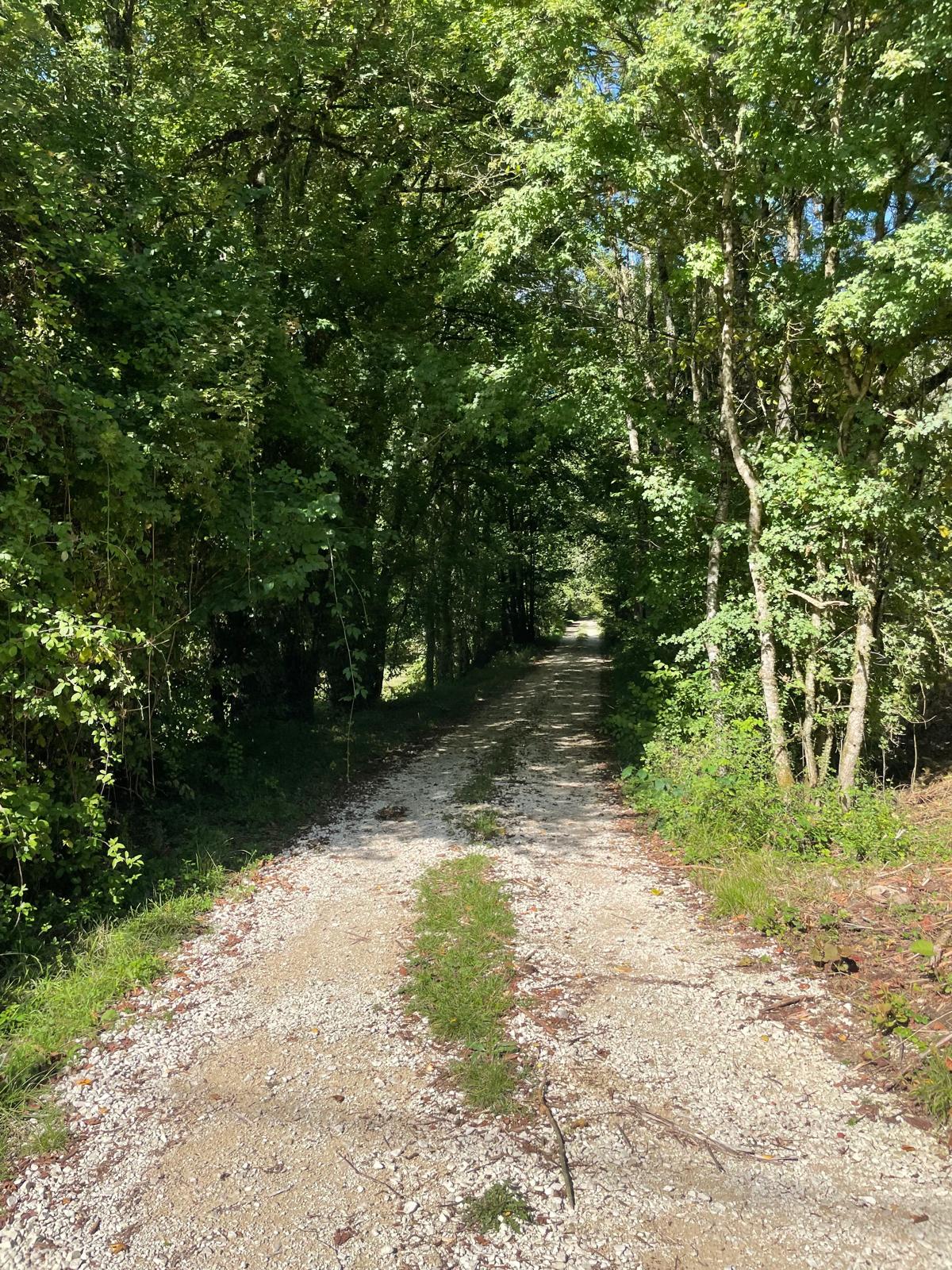 Jolie longère rénovée avec dépendances située dans un environnement bucolique à 20 minutes au Nord de BOURGES