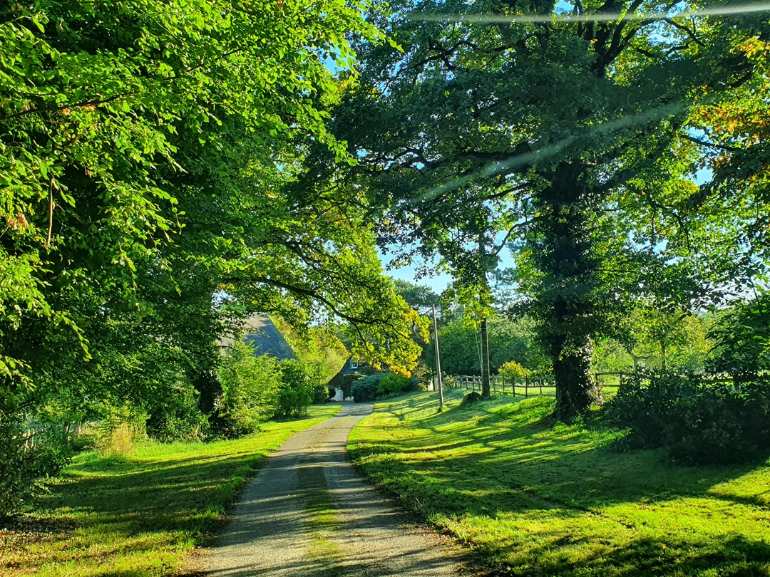Propriété d&rsquo;exception située à 20 minutes de Bourges avec pâtures et étang