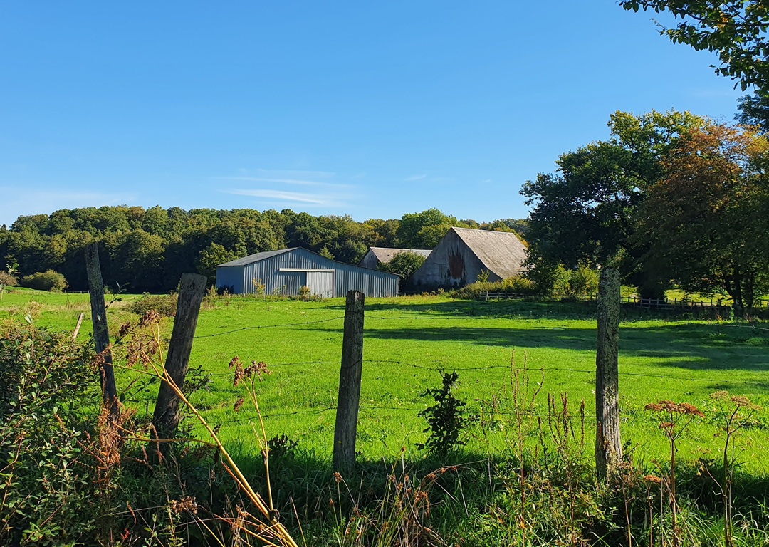 Propriété d&rsquo;exception située à 20 minutes de Bourges avec pâtures et étang