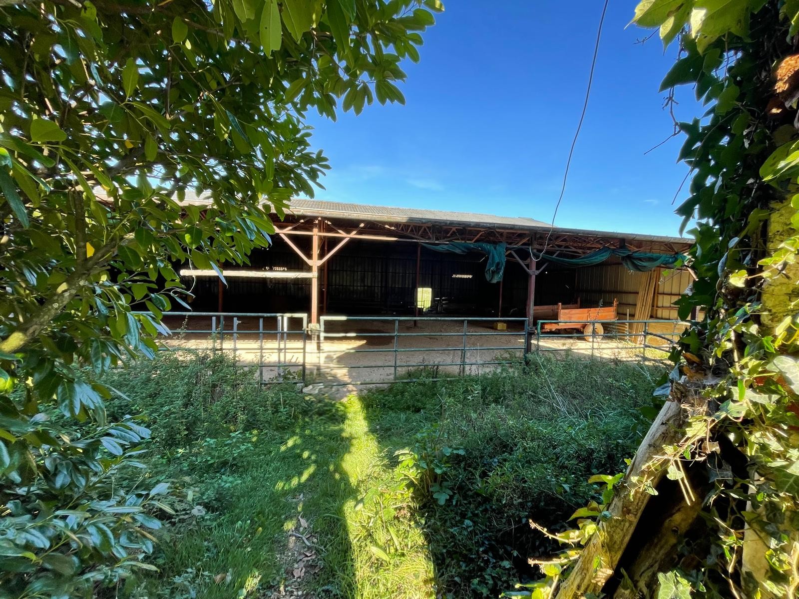 Propriété d&rsquo;exception située à 20 minutes de Bourges avec pâtures et étang