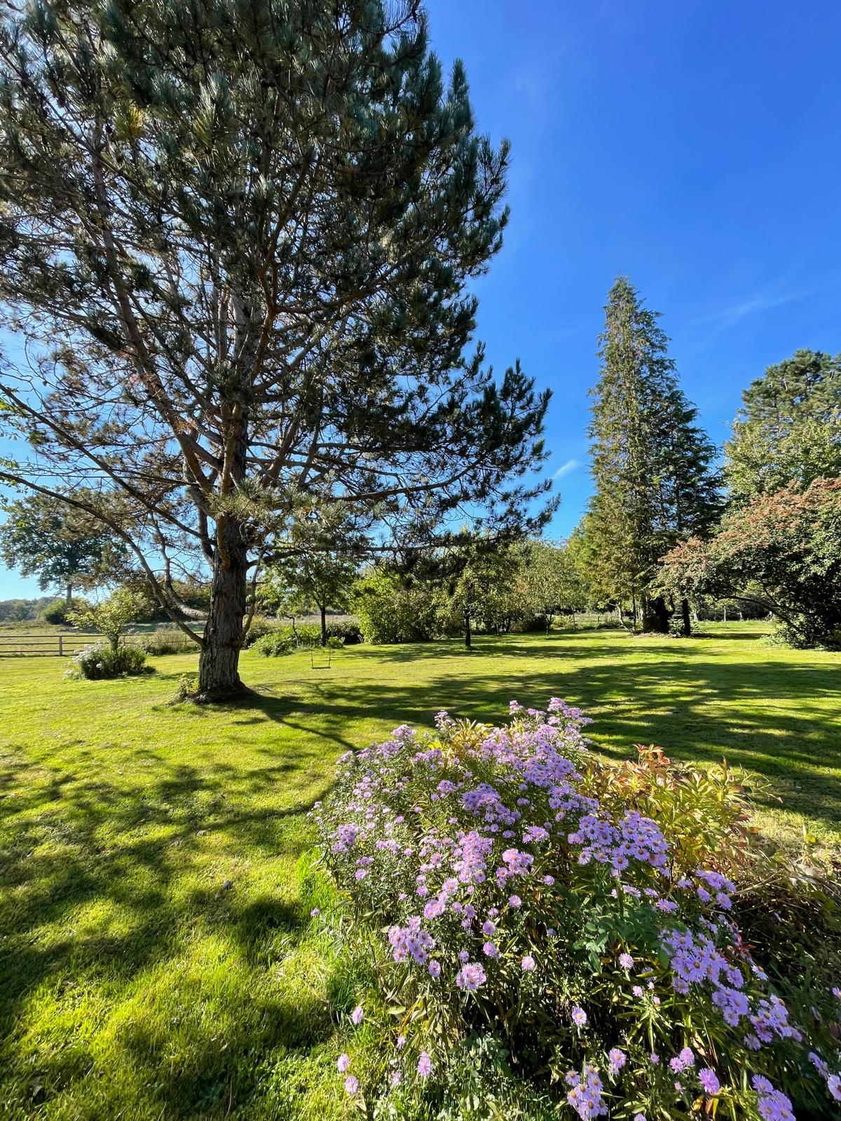 Propriété d&rsquo;exception située à 20 minutes de Bourges avec pâtures et étang