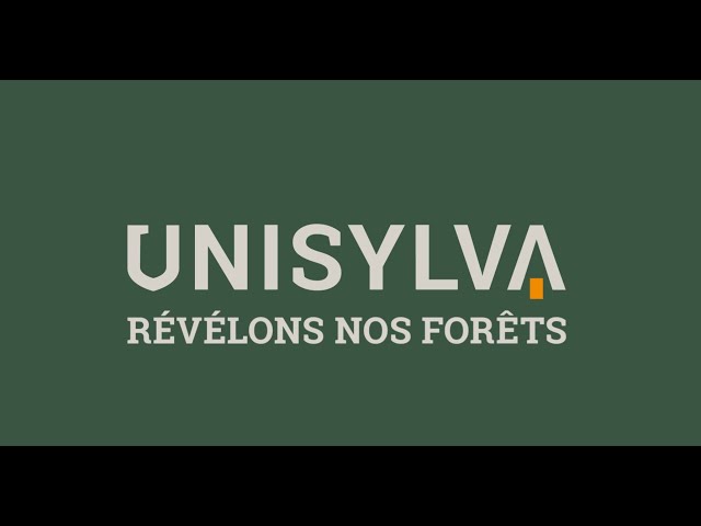 Parcelles de bois sur 35 hectares 57a situées à 20 minutes de Bourges