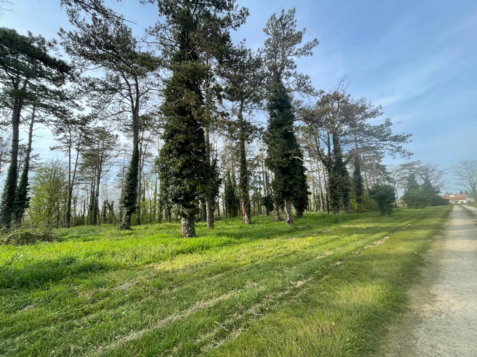 Proche Bourges – Propriété offrant 207 m² habitables dans son parc d&rsquo;1.5ha