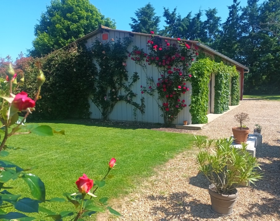 Maison de charme rénovée située à la campagne à 7 kms de Saint Florent sur Cher