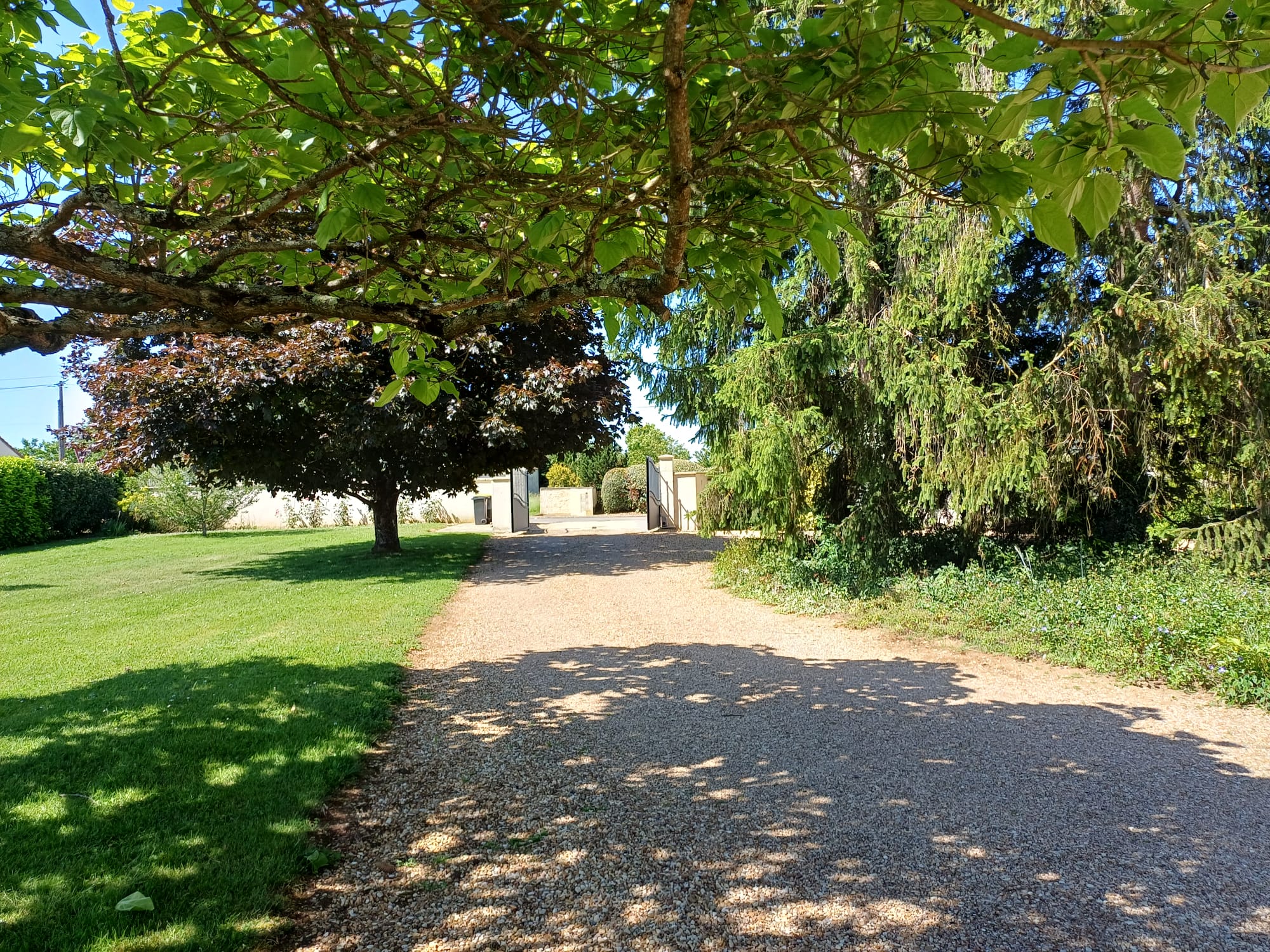 Maison de charme rénovée située à la campagne à 7 kms de Saint Florent sur Cher