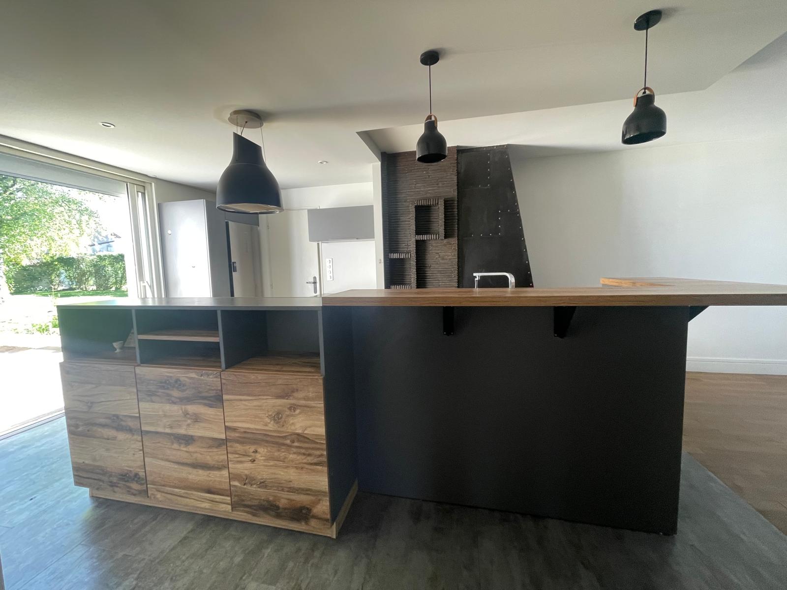 Maison rénovée ave jardin et grandes dépendances