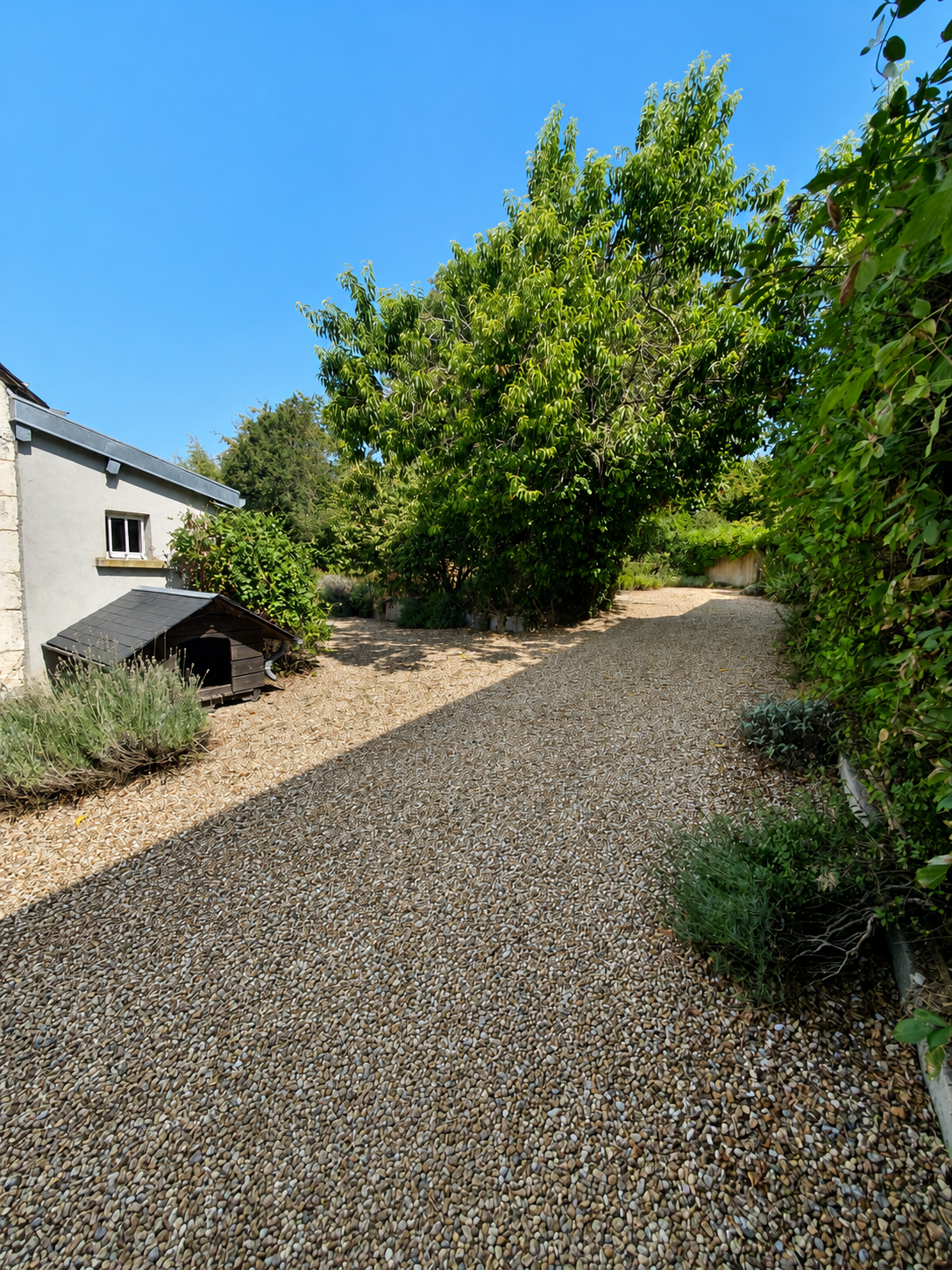 Proche Bourges – Maison rénovée offrant 157m² avec beau jardin et dépendances